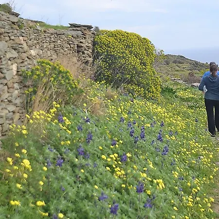 House On The Ancient Footpath * Faros